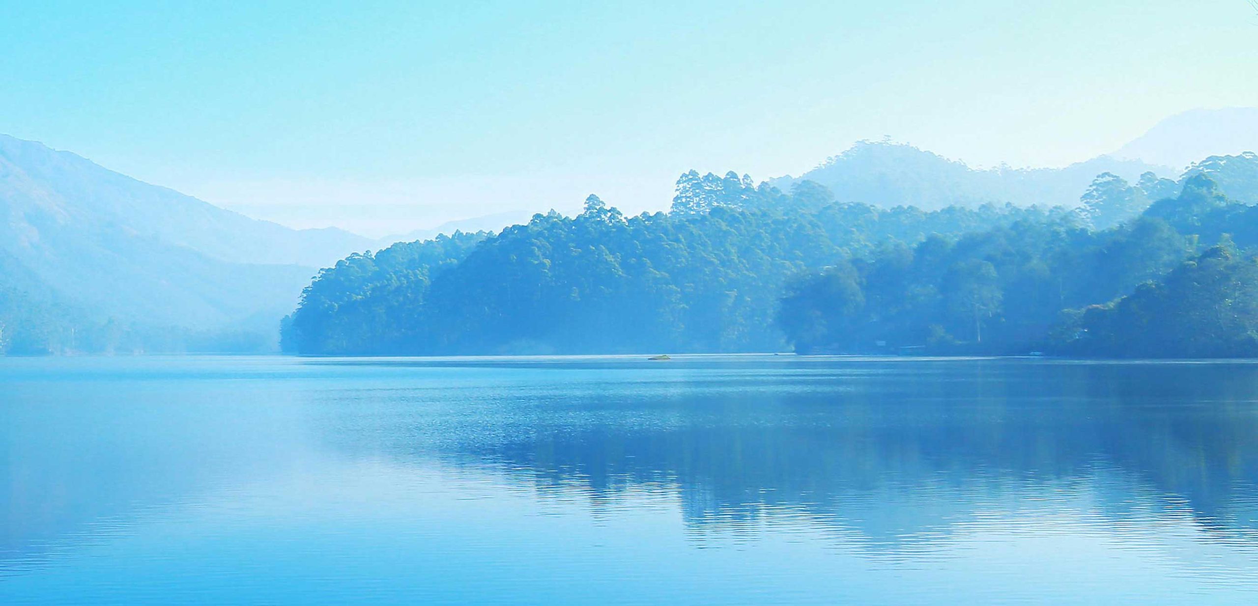 CLB-background